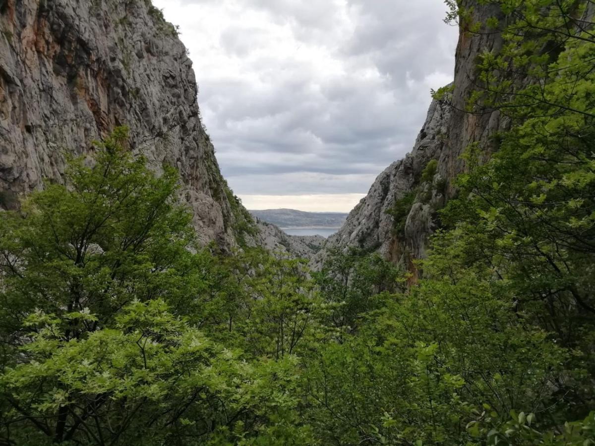 Green Point Paklenica Starigrad Paklenica Esterno foto